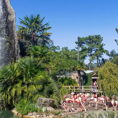 2 Bedroom Cozy In Nyaraló *