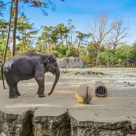 Nyaraló 2 Bedroom Cozy In Royan