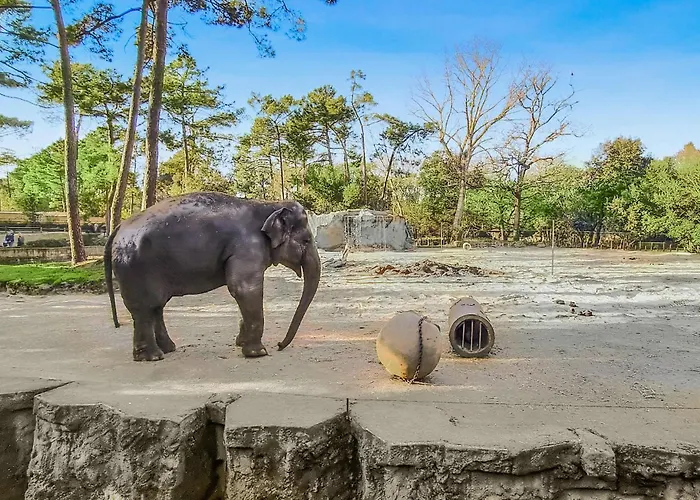 別荘 2 Bedroom Cozy In ロワイヤン